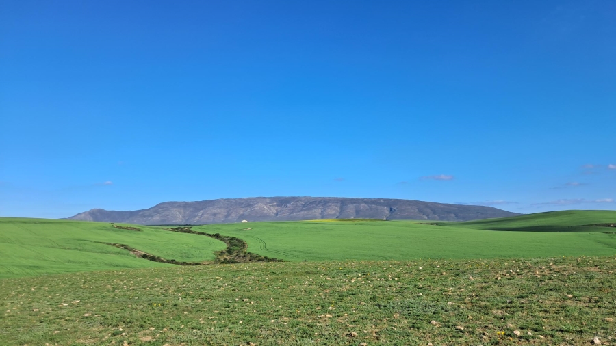 4 Bedroom Property for Sale in Malgas Western Cape